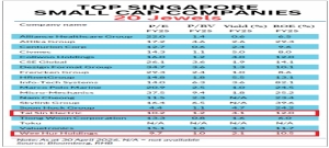 Insights from the RHB Top 20 Singapore Small Cap Jewels 2026 report