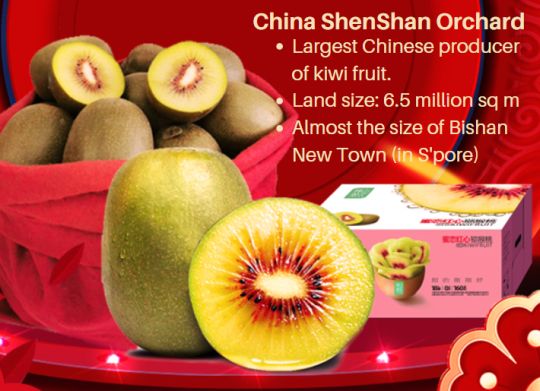 ShenS kiwi overview