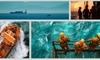 images/stories/Misc2026/SaltInvestment.jpg