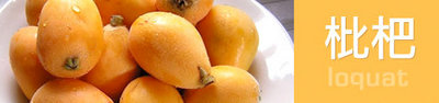 sg_loquat_sg