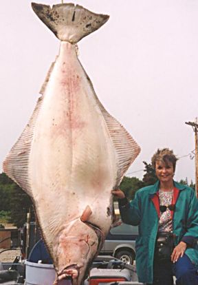 https://www.nextinsight.net/images/stories/PacificAndes/halibut_288.jpg