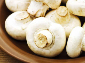 champignon_mushrooms