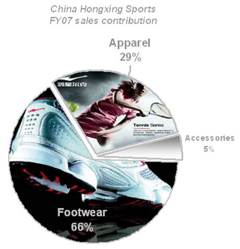 https://www.nextinsight.net/images/stories/china_hongxing/350_2fy07_sales_pie.jpg