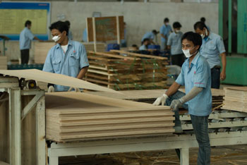 350_plywood-factory